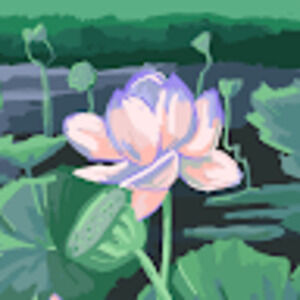 Meet your Posher, Nashana